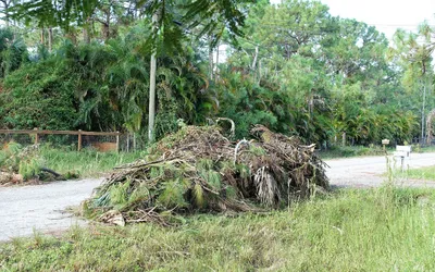 Yard Debris Clean-Up